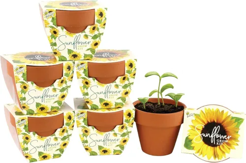 Vista 11 de BUZZY Semillas de terracota Mini macetas de cultivo Kit de iniciación de hierbas, plantas, flores para niños y adultos Mini cactus paquete de 6