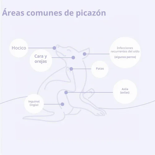 Vista 5 de Mal-A-Ket Champú para perros y gatos, 8 oz El embalaje puede variar