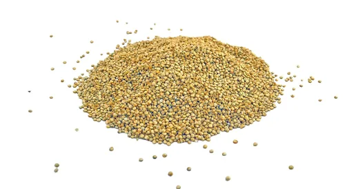 Vista 7 de Grano de quinua entera blanca dorada orgánica, sin OMG, sin gluten, a granel (3 libras)