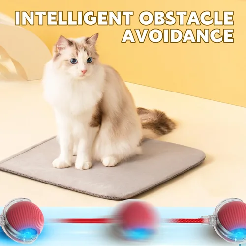 Vista 5 de Chewie Bola Rodante Viral para Mascotas, Juguete Interactivo para Gatos y Perros, Bola Rodante Automática Inteligente 360 (Gris)