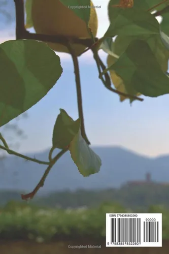 Vista 2 de Wellness through Nutriotion a holistic approach to living a life of abundance