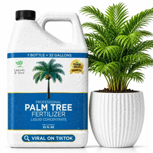 Vista 9 de Leaves & Soul Evergreen Tree Fertilizer, 6-4-6 Liquid Evergreen Food 8 oz Árbol de hoja perenne