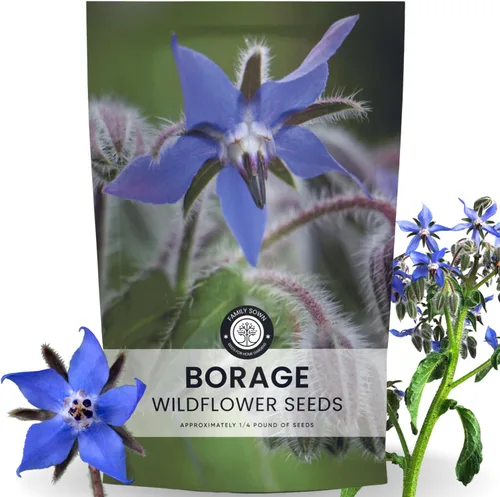Vista 8 de Borraja - 200 semillas para plantar - Temporada 2026 - Bolsa de 0.18 oz