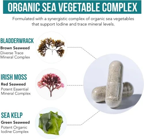 Vista 3 de Suplemento de yodo orgánico – 1,500 mcg de yodo, máxima potencia – de complejo de vegetales marinos, alimento integral y forma cruda – Contiene