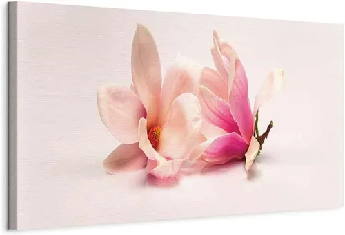 Vista 18 de artgeist Lienzo decorativo para pared, diseño de plumas de 35 x 12 pulgadas, 1 unidad, decoración del hogar, imagen estirada enmarcada para fotos