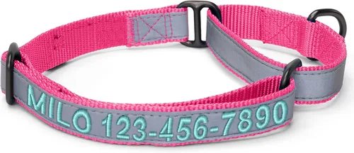 Vista 11 de Pawtitas Collar de perro Martingala personalizado reflectante reflectante bordado nombre personalizado número de teléfono ajustable para cachorros
