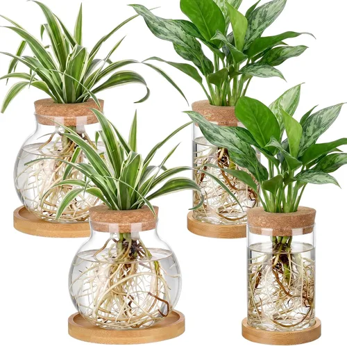 Vista 7 de Layhit 4 piezas de estaciones de propagación de plantas, jarrones de vidrio con tapa de madera y soporte de bambú para plantas hidropónicas, regalos