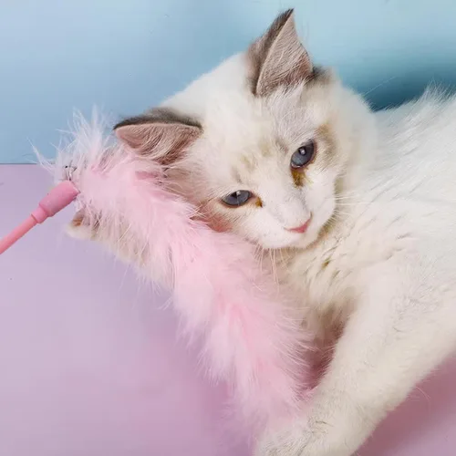 Vista 5 de IUHKBH Juguetes de varita para gatos, 3 varitas interactivas de plumas coloridas con campana para gatos y gatitos