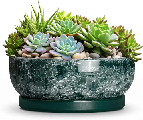 Vista 58 de Succulent Pots, 6 Inch Ceramic Bonsai Pots with Saucer, Blue