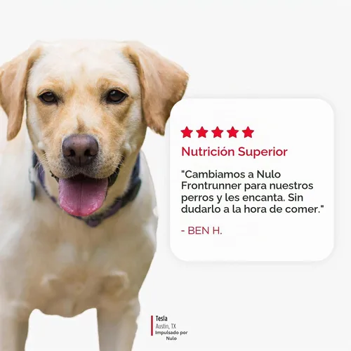 Vista 7 de Nulo Frontrunner Ancient Grains - Alimento para perros con alto contenido de proteínas, receta de carne de res, cebada y cordero, alimento seco