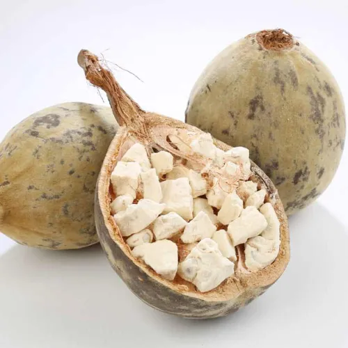 Vista 3 de 6 semillas de baobab (Adansonia) - Semillas de árbol Baobab - Planta tropical exótica rara