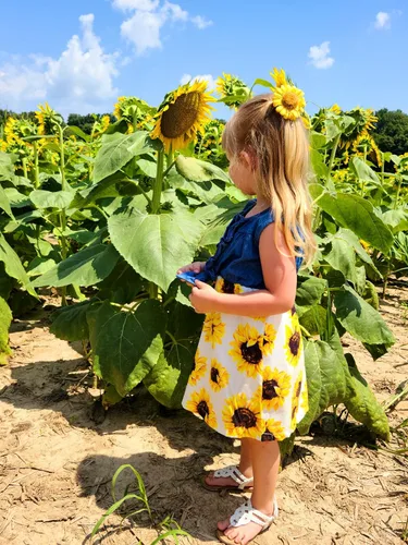 Vista 2 de Enlifety - Vestidos de princesas para niñas pequeñas sin mangas blusa de mezclilla y faldas de tutú con estampado floral vestido de verano de una