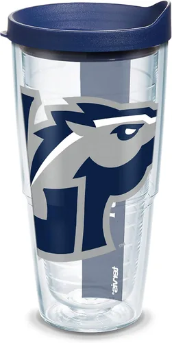 Vista 201 de Vaso térmico con tapa, marca Tervis, Idaho Univ, Transparente