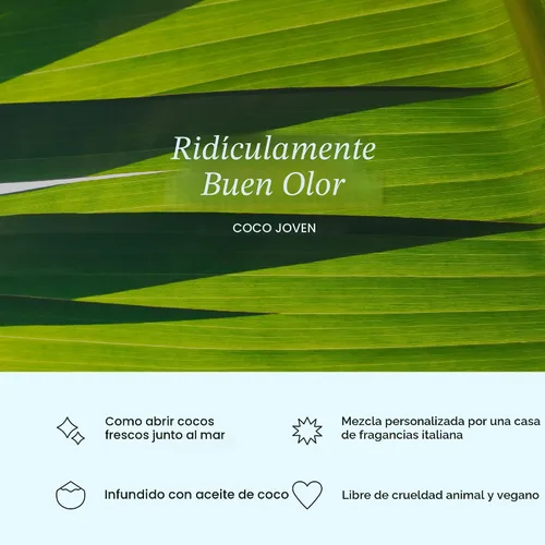 Vista 3 de Cocolab Hilo dental tejido, cuidado bucal diseñado por dentistas, aroma a coco, encerado, expandible, vegano, hilo dental amigable para niños