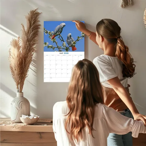 Vista 2 de Calendario de grises africanos 2025 2026 – Planificador mensual de pared de aves africanas – 12 x 18 pulgadas (abierto), calendario de pared