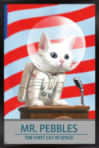 Vista 8 de Trends International Fallout 4 - Póster de pared de Mr. Pebbles - El primer gato en el espacio, 14.72 x 22.37 pulgadas, versión enmarcada de madera