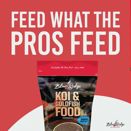 Vista 3 de Blue Ridge comida para peces Koi 2 libras - Fórmula de crecimiento mini para peces Koi, comida para peces dorados, comida premium para peces