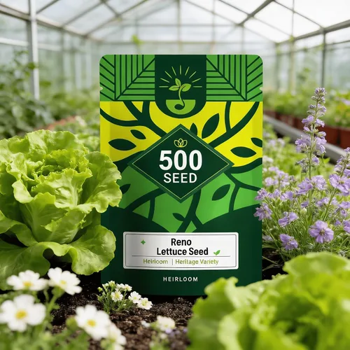 Vista 8 de 5000 semillas de lechuga Buttercrunch para plantar, semillas de vegetales de temporada fría sin OMG para cultivo hidropónico y suelo, lechuga