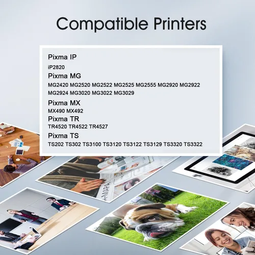Vista 2 de PG-245 XL - Cartucho de tinta de repuesto para impresora Canon 245 245XL, color negro, funciona con PIXMA MG2420 MG2520 MG2522 MG2525 MG2920 MG2922