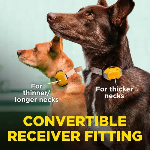 Vista 2 de CUE - Collar negro con bloqueo de nivel de seguridad para aumentar la vibración, impermeable, recargable para perros pequeños, medianos y grandes