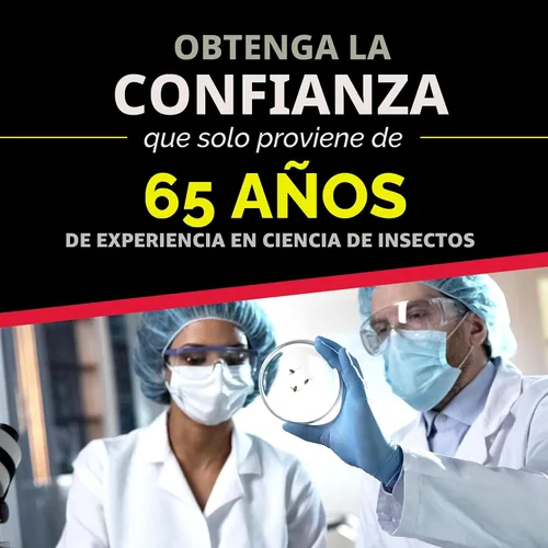 Vista 7 de Raid Cebos pequeños para cucarachas de doble control, además de tapones para huevos, resistentes a los niños, para uso en interiores, matan