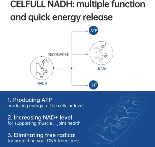 Vista 2 de CELFULL NADH Suplemento Enchance NMN Alternativo NAD+ Suplemento para apoyo inmunitario, refuerzo antienvejecimiento, cognición cerebral