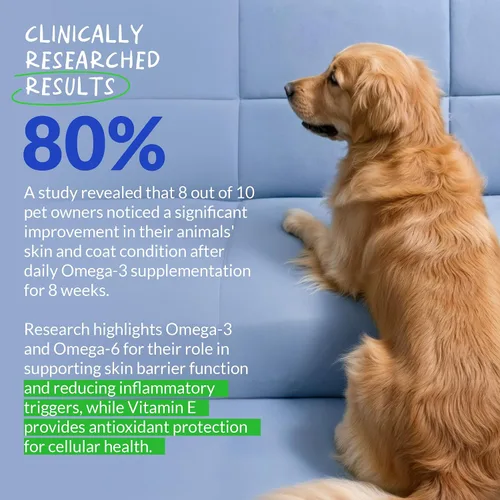 Vista 3 de Aceite de pescado Omega 3 para perros, 120 tabletas masticables - con Omega 3, 6 y 9, vitamina E para el desprendimiento de perros, picazón, piel