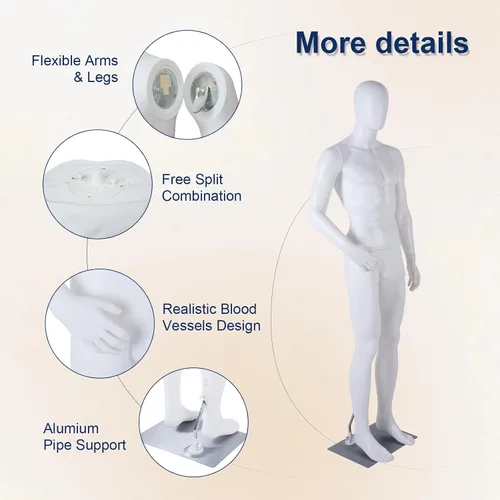 Vista 5 de Male Full Body Mannequin, Realistic Male Mannequin with Stand, Adjustable & Detachable Dress Form for Retail Clothing Display, Tailoring, Fashion