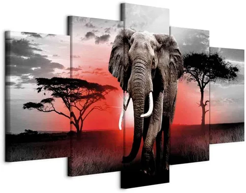 Vista 16 de artgeist Lienzo acústico para pared, diseño de África, 40 x 20 pulgadas, 5 piezas con impresión de sonido de espuma acústica, sala de arte de África