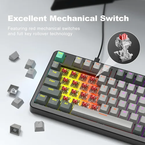 Vista 3 de MOFII AK96 - Teclado mecánico para juegos, teclas completas LED retroiluminadas programables, Plug and Play USB AC Teclado personalizado con botón