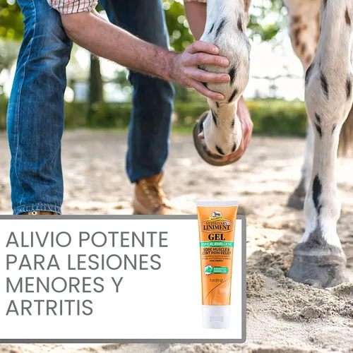 Vista 4 de Absorbine Gel de linimento veterinario, ungüento analgésico tópico de mentol para músculos adoloridos, dolor de articulaciones y artritis, paquete