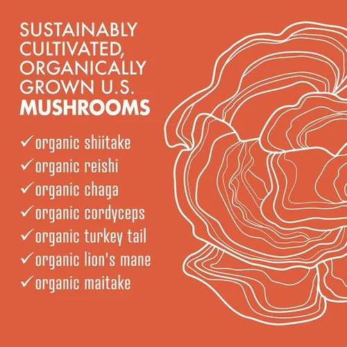 Vista 4 de BlueBonnet Nutrition Myco-7 Mushroom Defense - 7 hongos orgánicos de ciclo completo, para el sistema inmunológico y el bienestar, sin soja, sin