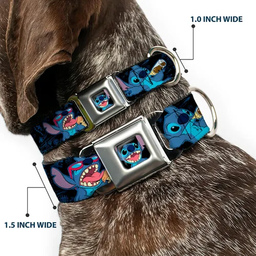 Vista 2 de Buckle-Down Collar de perro con hebilla de cinturón de seguridad, Poses de refrigerio de puntada, negro/azul, 1 pulgada de ancho, se adapta a cuello