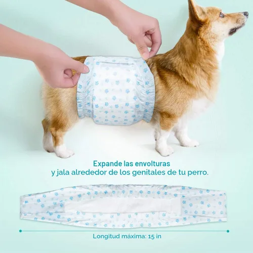 Vista 3 de Pañales absorbentes para el vientre para perros machos