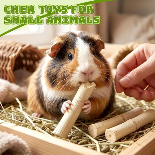 Vista 6 de 1 LB Sweet Bamboo Sticks for Rabbits, Teeth Grinding Chew Toys