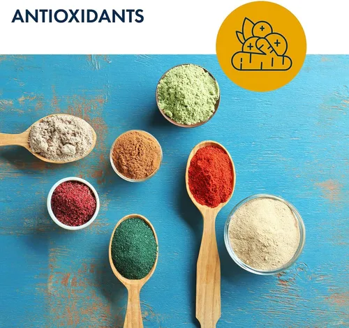 Vista 4 de Metabolic Maintenance Ácido alfa lipoico de 300 mg – Suplemento de ALA, ácido alfa-lipoico antioxidante para mujeres y hombres, apoyo a la salud