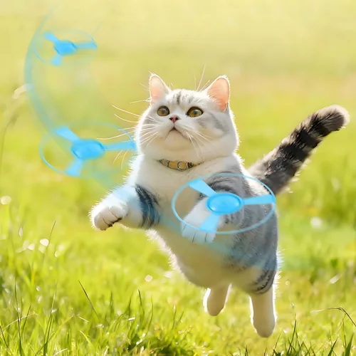 Vista 2 de 1 Unidades Divertido Gato Fuera Del Gatito Lanzador Pistas De Gato Platillo Lanzador De Discos Disparo Interior Interactivo Juguete Volador Disco