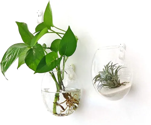 Vista 5 de Kingbuy Maceta de cristal para colgar en la pared, florero, estación de propagación de plantas hidropónicas, decoración de jardín, oficina en casa