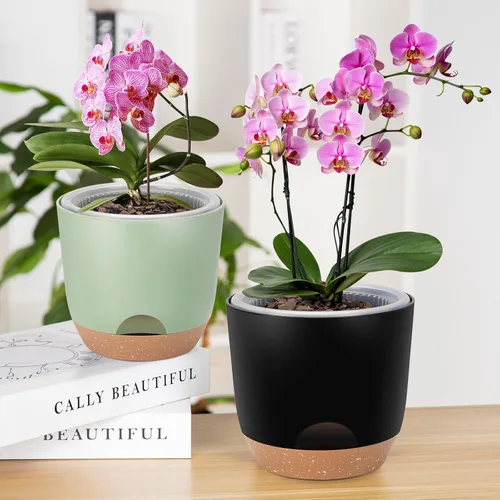 Vista 6 de Macetas de Orquídeas de Riego Automático para Plantas de Interior, 5.8 Pulgadas Macetas para Orquídeas, Macetas de Flores para Plantas