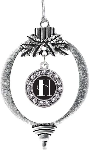 Vista 352 de Inspired Silver - Adorno de cromosoma 21 con dije de círculo de plata con joyas de circonita cúbica