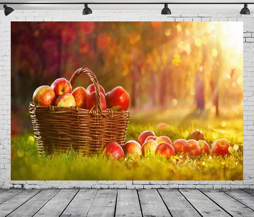 Vista 2 de BELECO Telón de fondo de fotografía de manzanas de otoño de 6 x 4 pies, color manzanas en cesta, luz del sol, fondo borroso de bokeh, campo, campo