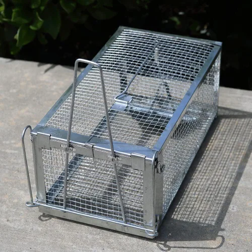 Vista 2 de AOK Home - Trampa de jaula humana en vivo para ardilla, ratón, rata, roedor, atrapador de animales para animales pequeños en interiores