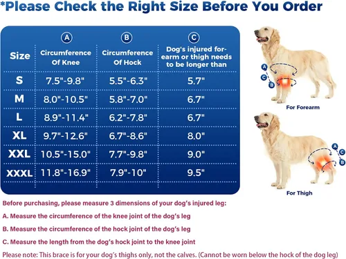 Vista 3 de Rodillera para perro, soporte de ACL para perros para patas traseras y traseras delanteras y traseras