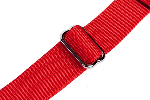 Vista 30 de GoGo Pet Products GoGo - Collar de perro Martingala de 3/4 pulgadas, mediano, color rosa Rosado