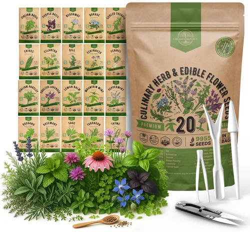 Vista 12 de Organo Republic Paquete variado de 12 semillas de hierbas culinarias - 7,355+ semillas criollas, sin transgénicos, para jardinería en interiores