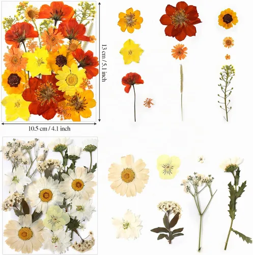 Vista 4 de Kit de 140 hojas de flores secas prensadas para moldes de resina y Blanco Amarillo 140pcs