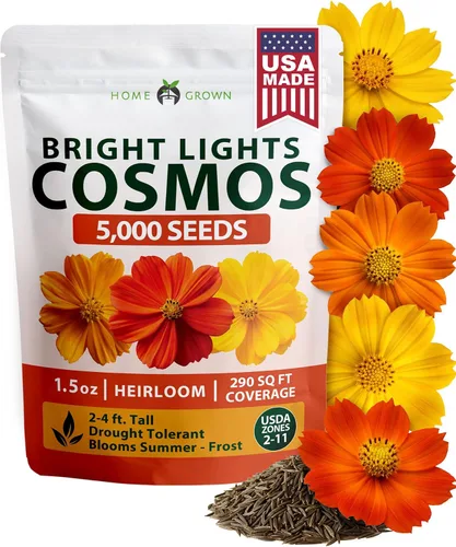Vista 43 de HOME GROWN Bachelor Button Tall Mix 700+ Semillas de flores Centaurea
