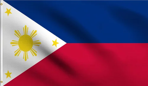 Vista 156 de DMSE - Bandera nacional beninesa beninesa de la República de África Occidental, 2 x 3 pies, 100 % poliéster, 100 % poliéster, resistente a los rayos