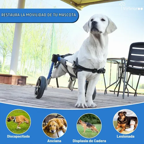 Vista 2 de Silla de ruedas para perro para patas traseras, silla de ruedas para perro con neumáticos todo terreno y rodamientos duraderos, silla de ruedas
