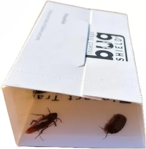 Vista 5 de Bug Shield - Trampas adhesivas de pegamento para 36 tableros de pegamento, todo tipo de incetes, arañas, cucarachas, hormigas, grillos de cueva